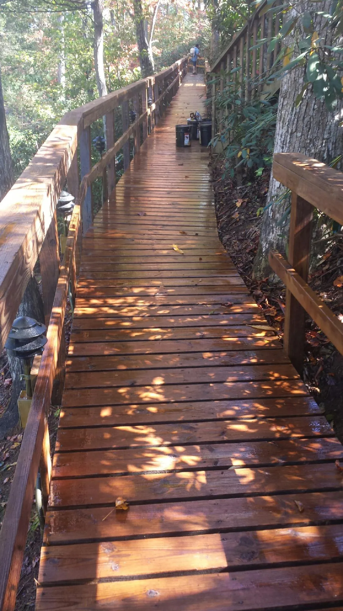 Freshly stained wood walkway winding through the woods in Whiteman Air Force Base